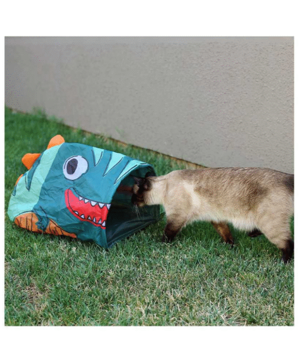 Brnx Juguete Gato Tunel Crepitante Dinosaurio
