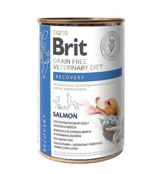 35 BRIT GF VD DOG + CAT CAN RECOVERY 400G