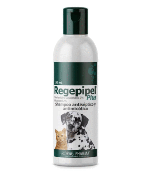 REGEPIPEL PLUS