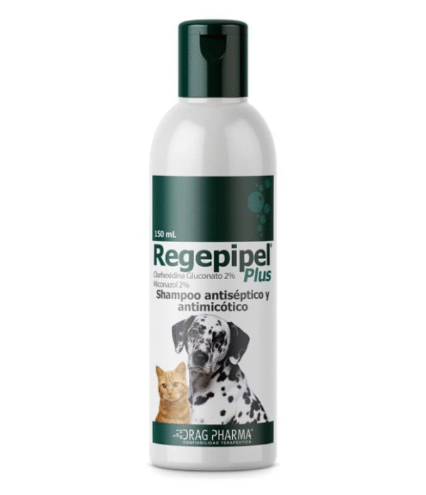 REGEPIPEL PLUS